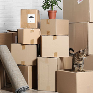 Moving Company Pretoria