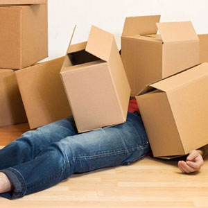 #1 Moving Companies